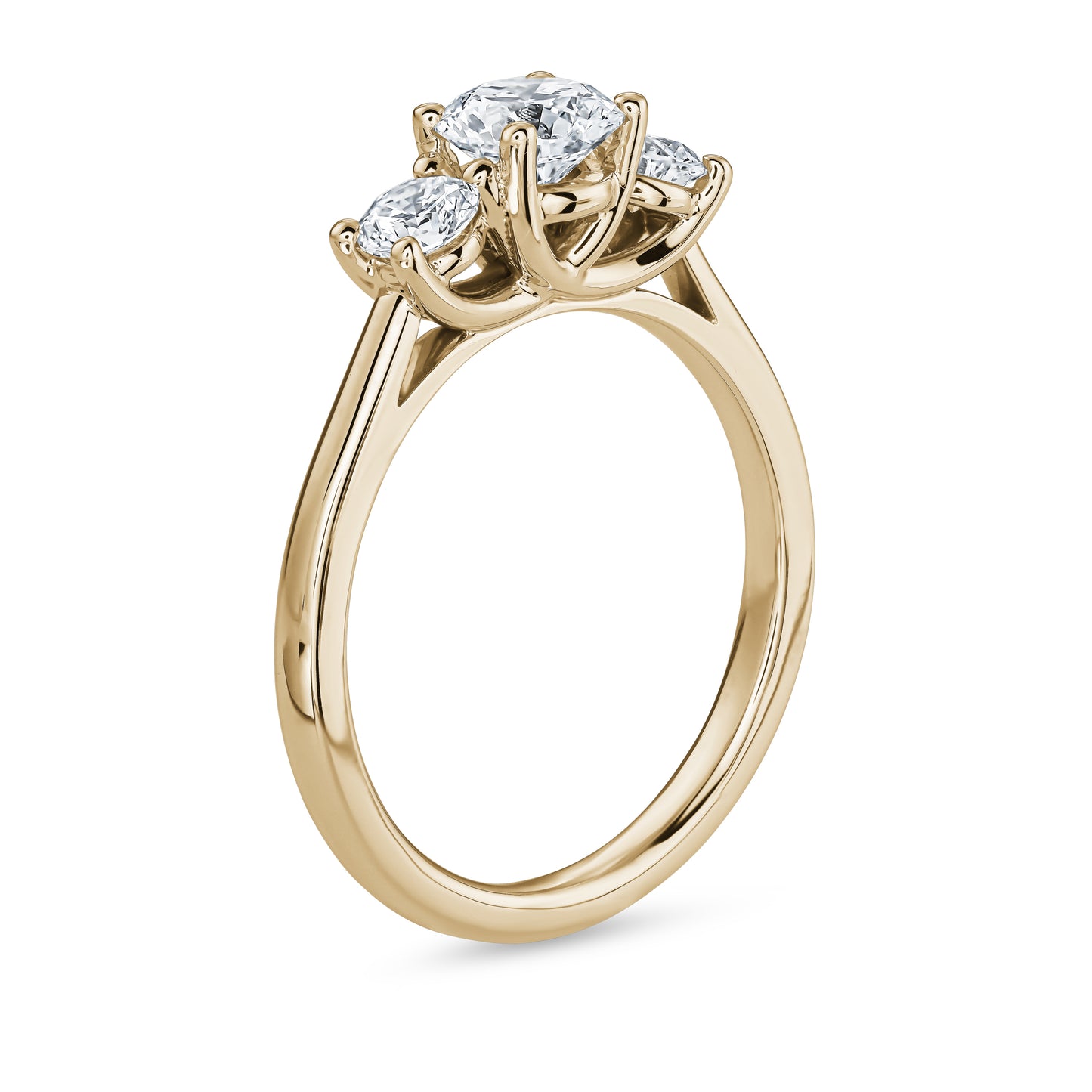 
                  
                    Three Stones Round Diamond Engagement Ring
                  
                